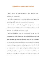 Thân thế ba anh em nhà Tây Sơn docx