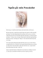 Nguồn gốc môn Pencaksilat pdf