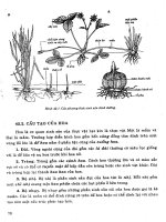 Sinh học tập 2 part 3 docx