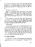 Kỹ thuật sản xuất giống và nuôi tôm càng xanh part 5 potx