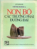 Chế tác non bộ : Các trường phái đương đại part 1 pps