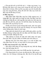 Kỹ thuật nuôi ong nội địa cho người bắt đầu nuôi ong part 4 pdf