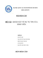 ĐỀ TÀI : KHẢO SÁT VỀ SỰ TỰ TIN CỦA SINH VIÊN ppt