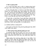 Kỹ thuật trồng, chăm sóc và phòng từ sâu bệnh cho Cam Quýt, Nhãn, Hồng part 2 pdf