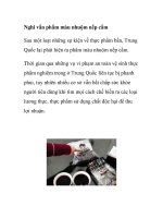 Nghi vấn phẩm màu nhuộm nếp cẩm potx