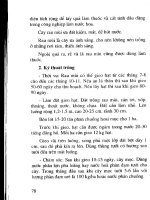 Kỹ thuật trồng rau ăn lá, rau ăn hoa, rau gia vị part 8 docx