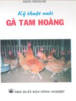 Kỹ thuật nuôi gà tam hoàng part 1 ppsx