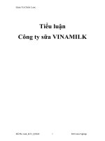 Tiểu luận: Công ty sữa VINAMILK pot