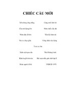 CHIẾC CẦU MỚI ppt