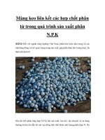 Màng keo liên kết các hợp chất phân tử trong quá trình sản xuất phân N.P.K potx