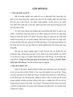 Nâng cao hiệu quả quản lý tài chính tại Công ty cổ phần Nhựa thiếu niên Tiền Phong.