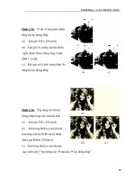 Hướng dẫn cải thiện ảnh phần 4 doc