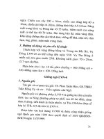 Kỹ thuật trồng ngô giống mới và năng suất cao part 4 pot