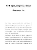 Cách ngâm, công dụng và cách dùng rượu rắn pot