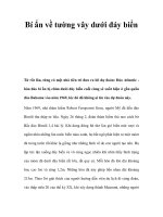 Bí ẩn về tường vây dưới đáy biển pptx