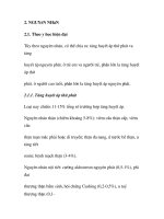 quá trình hình thành và phương pháp điều trị bệnh tăng huyết áp trong y học p2 pot