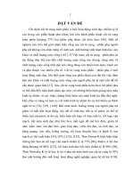 nghiên cứu đặc điểm lâm sàng, nồng độ estradiol, canxi, phospho và chất lượng sống ở phụ nữ sau cắt tử cung