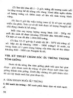 Kỹ thuật nuôi tôm đại trà xuất khẩu part 6 ppsx