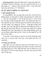 Kỹ thuật trồng, chăm sóc cây ăn quả theo ISO - Cây có múi part 5 ppsx