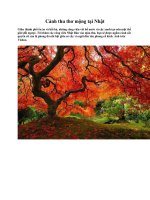 Cảnh thu thơ mộng tại Nhật pdf