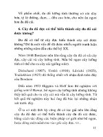 Kỹ thuật trồng cây ăn quả : Ca cao - Đu đủ part 2 pot