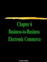 Chapter 6: Business-to-Business Electronic Commerce pps