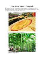 Thăm hội chợ trái cây ở Trung Quốc pptx