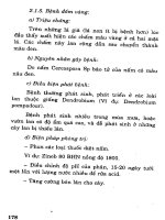 Hoa Lan nuôi trồng và kinh doanh part 9 ppsx