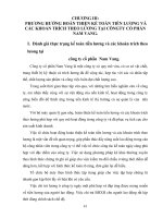 Chương 3: Phương hướng hoàn thiện kế toán tiền lương và các khoản trích theo lương tại công ty cổ phần Nam Vang docx