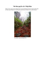 Nét thu quyến rũ ở Nhật Bản ppt