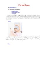 Các loại nhảy Dance pptx