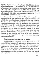 Công nghệ sinh học đối với cây trồng vật nuôi và bảo vệ môi trường - Quyển 2 part 9 pot