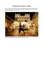 Thưởng thức văn hóa ở Lisbon pps