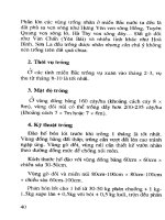 Kỹ thuật trồng, chăm sóc và phòng từ sâu bệnh cho Cam Quýt, Nhãn, Hồng part 5 docx