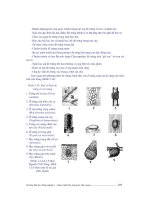 Giáo trình côn trùng part 9 potx