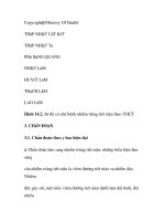 quá trình hình thành và phương pháp điều trị bệnh nhiễm trùng tiết niệu trong y học p5 potx