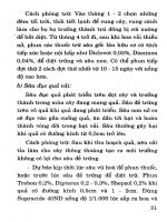 Kỹ thuật trồng cây ăn quả hiệu quả kinh tế cao tập 1 part 4 docx