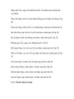 quá trình hình thành và phương pháp điều trị bệnh hội chứng suy sinh dục nam trong y học p8 docx