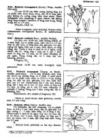 Cây cỏ Việt Nam tập 3 part 2 pot