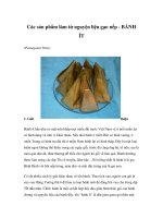 Các sản phẩm làm từ nguyện liệu gạo nếp - BÁNH ÍT pot