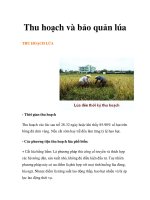 Thu hoạch và bảo quản lúa pdf