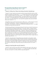 Bổ sung chế độ ăn uống ppt