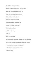 quá trình hình thành và phương pháp điều trị bệnh suy dinh dục nữ trong y học p10 docx