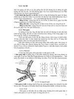 Giáo trinh giải phẫu thực vật học part 5 pps
