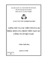 lòng tin và các tiền tố của sự thỏa mãn của nhân viên tại các công ty ở việt nam