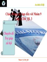 Chuyên đề: Trợ giúp xã hội pps