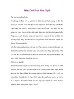 Đám Cưới Vua Hàm Nghi pps