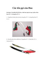 Các tên gọi của Đao ppsx