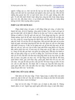 Kĩ thuật quân sự Đại Việt part 10 pdf