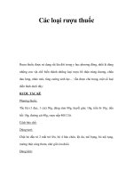 Các loại rượu thuốc Rượu thuốc được sử dụng rất lâu đời trong y học pdf